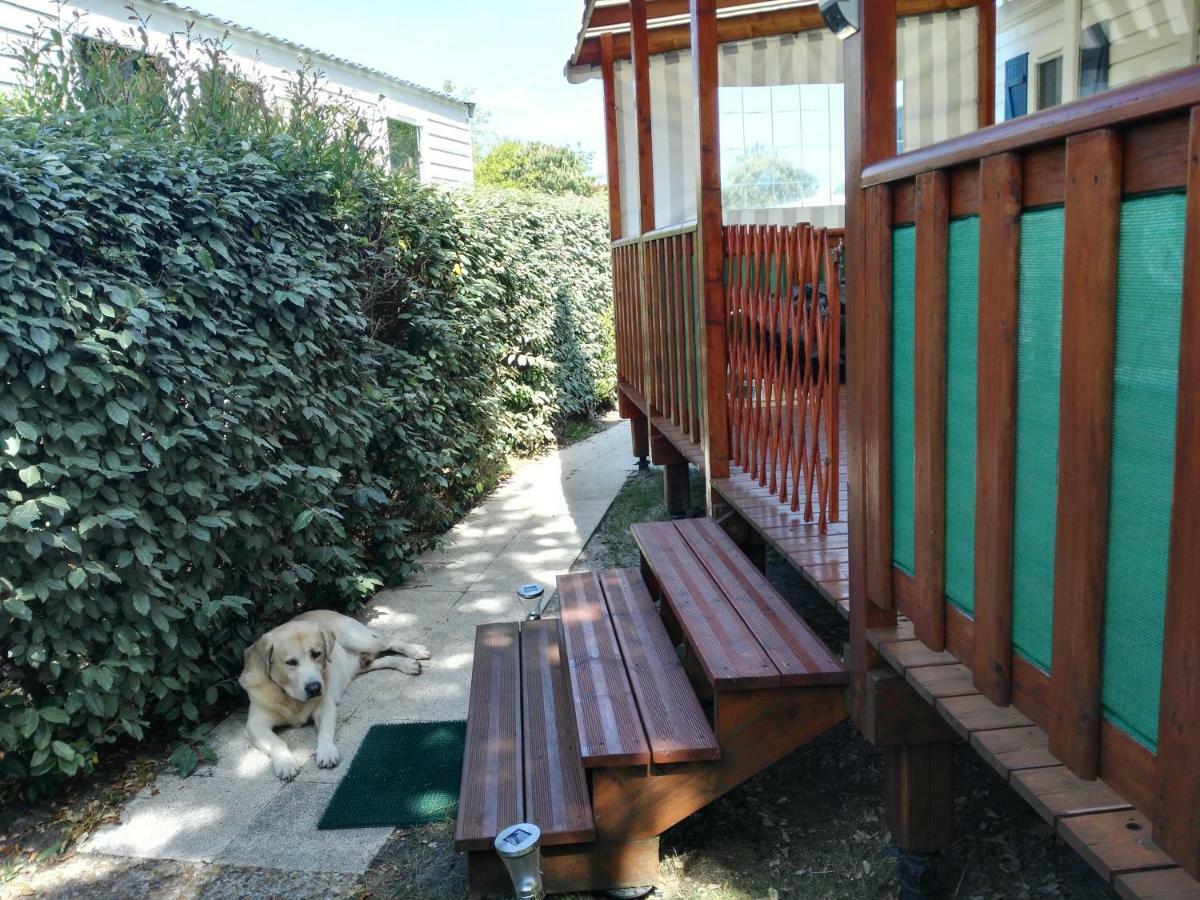 Mobil Home 43 Dans Camping 4 Etoiles Gastes Экстерьер фото